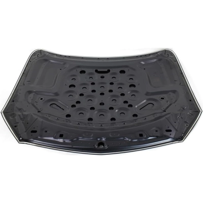 Hood Panel Assembly - MB1230140C pa2