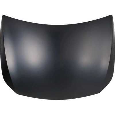 Hood Panel Assembly - MB1230154 pa1