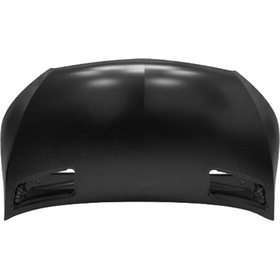 Hood Panel Assembly - MB1230167 pa1