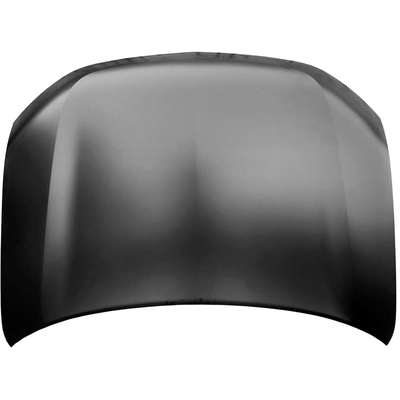 Hood Panel Assembly - MI1230221C pa1