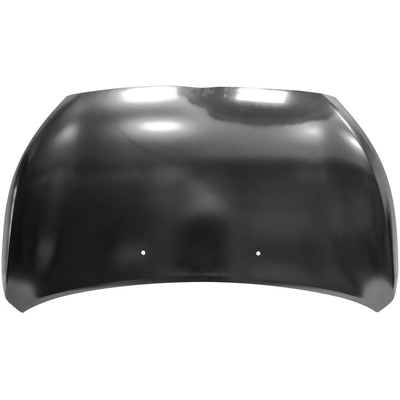 Hood Panel Assembly - MI1230222 pa1