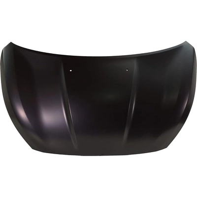 Hood Panel Assembly - MI1230225 pa2