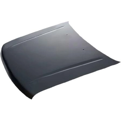 Hood Panel Assembly - NI1230148 pa1