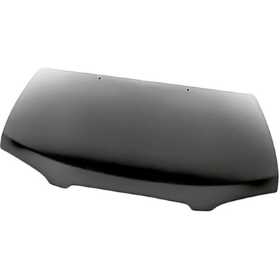 Hood Panel Assembly - NI1230155 pa1