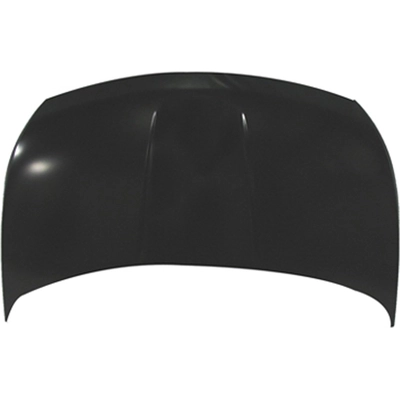 Hood Panel Assembly - NI1230166C pa1