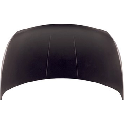 Hood Panel Assembly - NI1230166C pa3