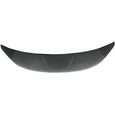 Hood Panel Assembly - NI1230168 pa2