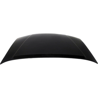 Hood Panel Assembly - NI1230170 pa1