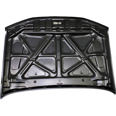 Hood Panel Assembly - NI1230170 pa2