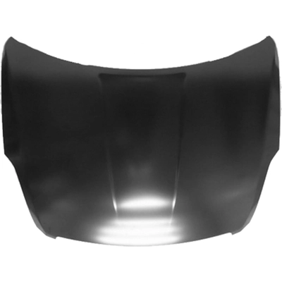 Hood Panel Assembly - NI1230173C pa2