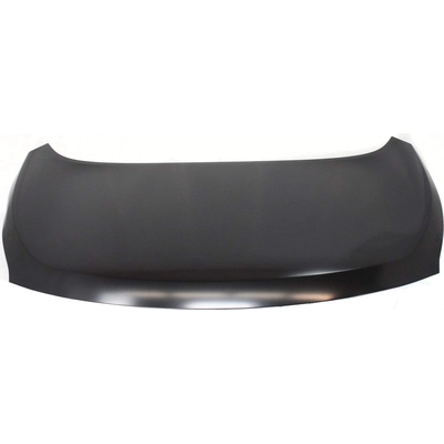 Hood Panel Assembly - NI1230177C pa1