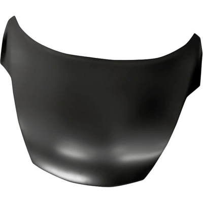Hood Panel Assembly - NI1230184 pa1
