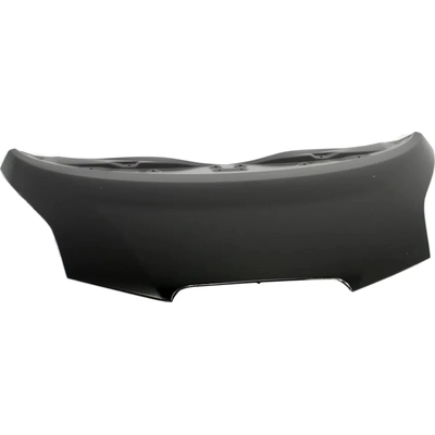 Hood Panel Assembly - NI1230186 pa1