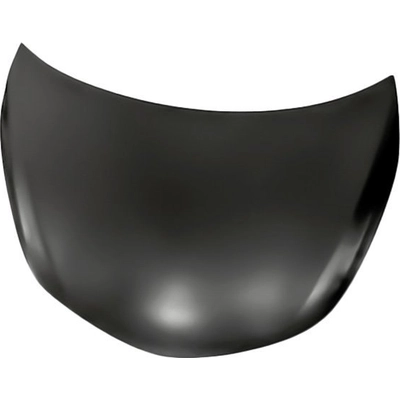 Hood Panel Assembly - NI1230189 pa1