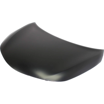 Hood Panel Assembly - NI1230189C pa2