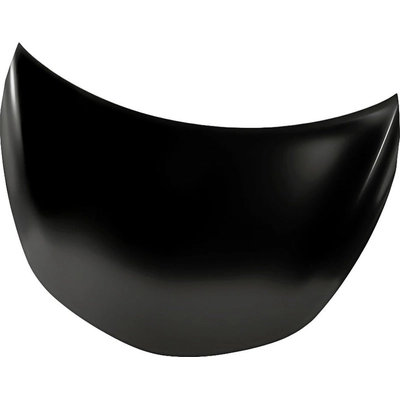 Hood Panel Assembly - NI1230190 pa1