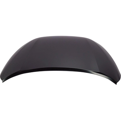 Hood Panel Assembly - NI1230220C pa1