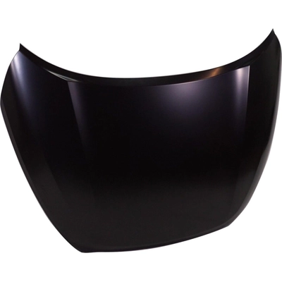 Hood Panel Assembly - NI1230220C pa2