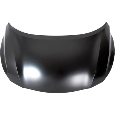 Hood Panel Assembly - NI1230223C pa2