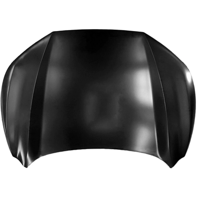 Hood Panel Assembly - NI1230225 pa1