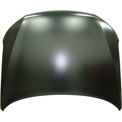 Hood Panel Assembly - SU1230131C pa1