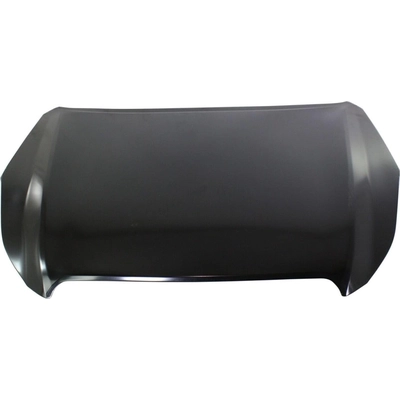Hood Panel Assembly - SU1230137C pa2
