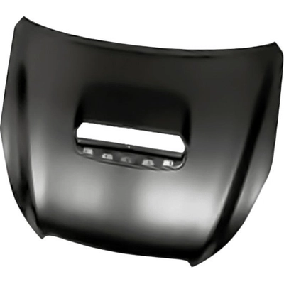 Hood Panel Assembly - SU1230138 pa1