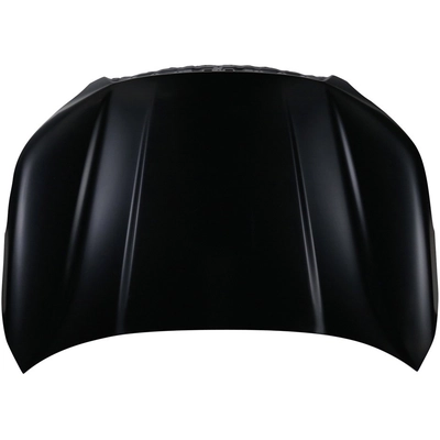 Hood Panel Assembly - SU1230156C pa1