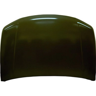 Hood Panel Assembly - SZ1230113 pa1