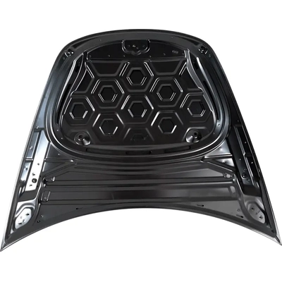 Hood Panel Assembly - TA1230100 pa2