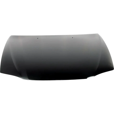 Hood Panel Assembly - TO1230169C pa2