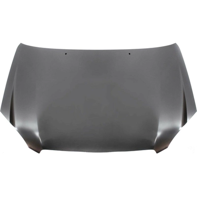 Hood Panel Assembly - TO1230185C pa1