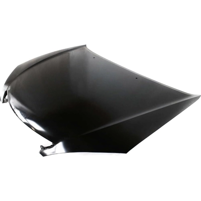 Hood Panel Assembly - TO1230186C pa2