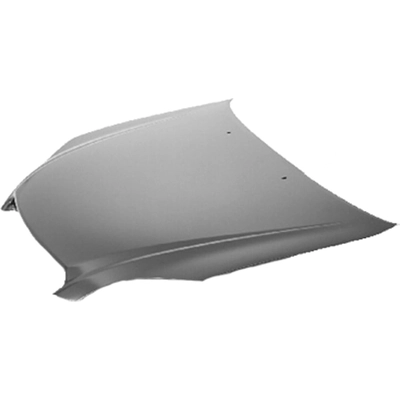 Hood Panel Assembly - TO1230190C pa1