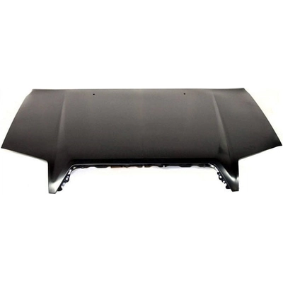 Hood Panel Assembly - TO1230193C pa1