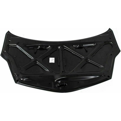 Hood Panel Assembly - TO1230194 pa1