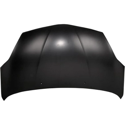 Hood Panel Assembly - TO1230194C pa1