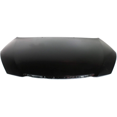 Hood Panel Assembly - TO1230197 pa1