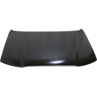 Hood Panel Assembly - TO1230200 pa2