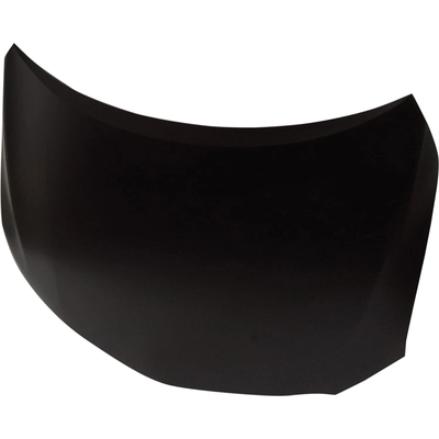 Hood Panel Assembly - TO1230211 pa1
