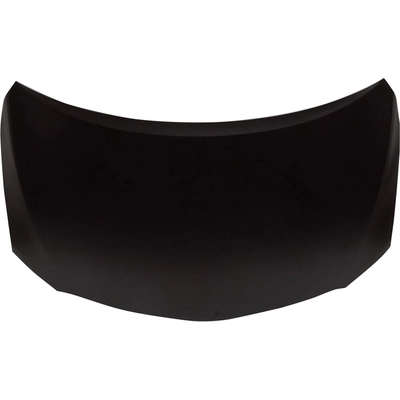 Hood Panel Assembly - TO1230211 pa2
