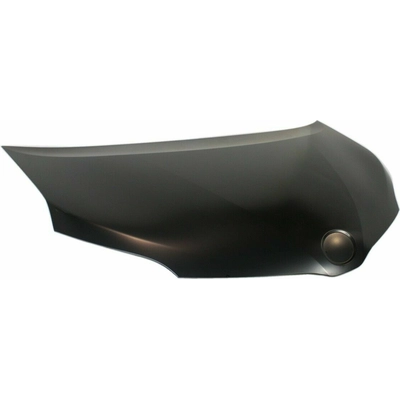 Hood Panel Assembly - TO1230220 pa1