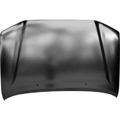 Hood Panel Assembly - TO1230224C pa1