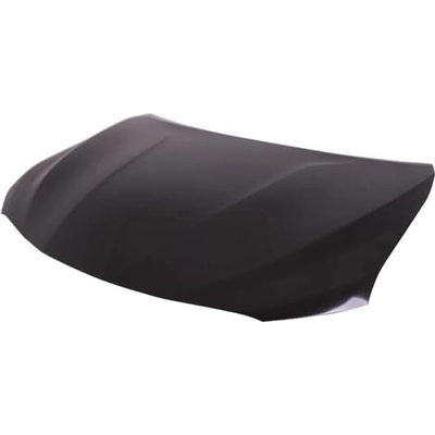 Hood Panel Assembly - TO1230245U pa1