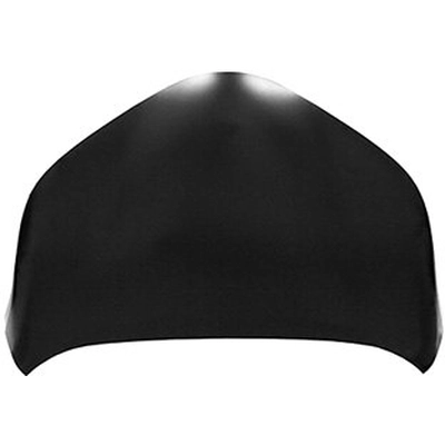 Hood Panel Assembly - TO1230246C pa1