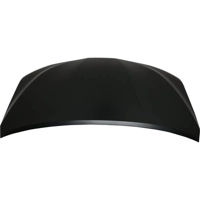 Hood Panel Assembly - TO1230249 pa1
