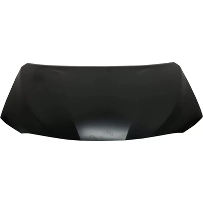Hood Panel Assembly - TO1230249 pa2