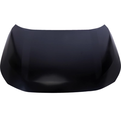 Hood Panel Assembly - TO1230253 pa1