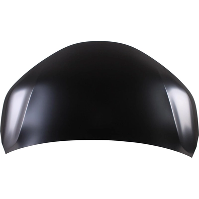 Hood Panel Assembly - TO1230260 pa1