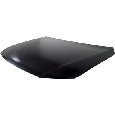 Hood Panel Assembly - VW1230133 pa1